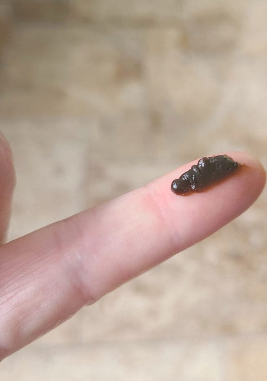 Full Spectrum CBD Paste 10mL 4000mgs