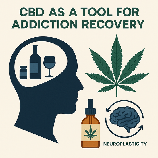 🌱 CBD as a Tool for Addiction Recovery: What the Latest Science Says