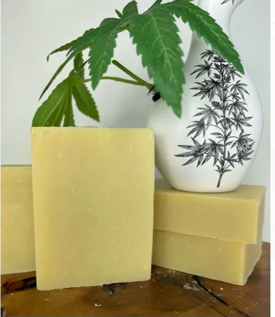 Why What You Put on Your Skin Matters. You only have one skin, feed it what it deserves! 🌿